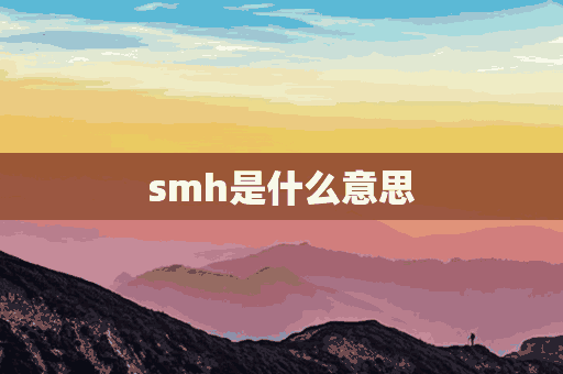 smh是什么意思